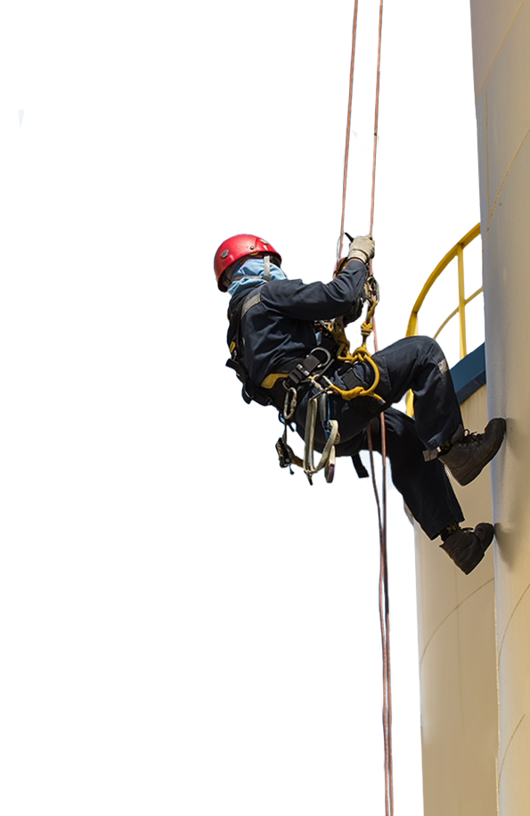 trabajos verticales molowny