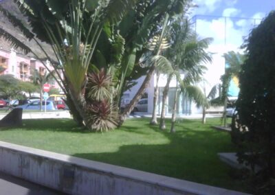 mantenimiento jardin