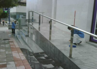 limpieza profesional